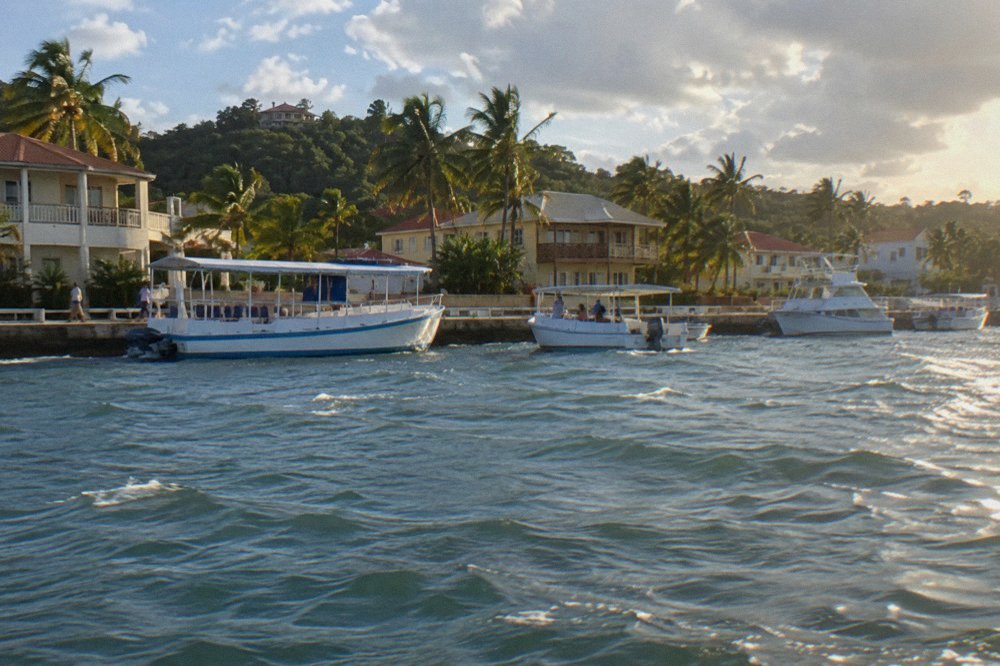 Fishing and tour boats moored along a waterfront street in a Caribbean bay town